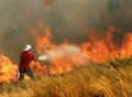 Υπό έλεγχο η φωτιά στην Καρύταινα Αρκαδίας